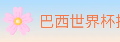 巴西世界杯投注入口 logo